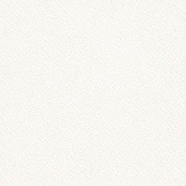 Fondo