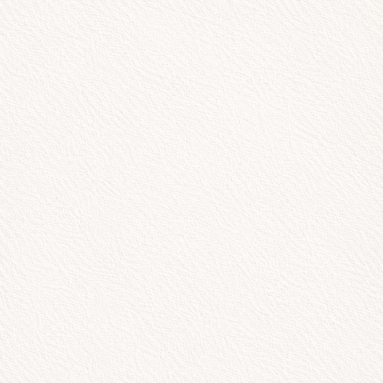 Fondo
