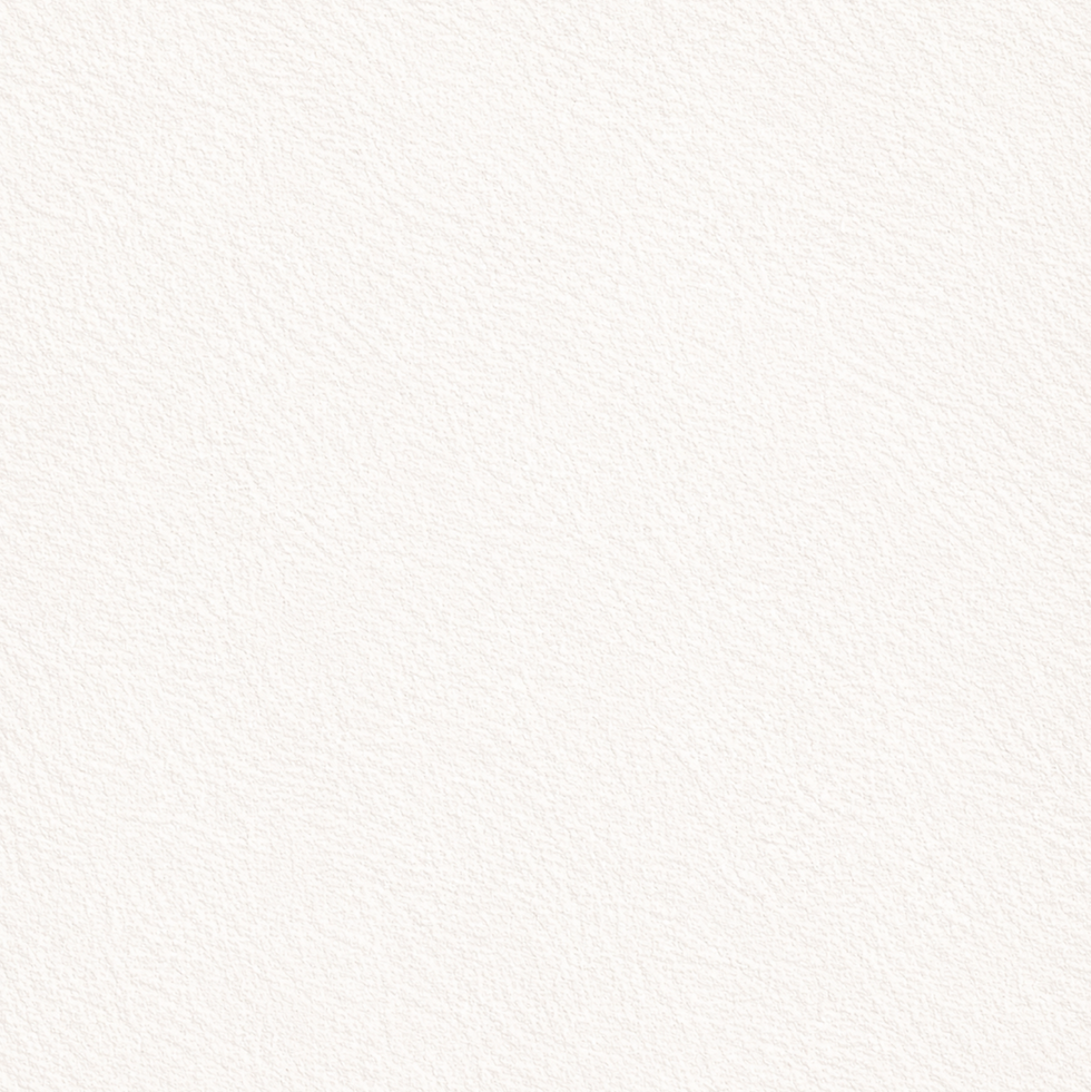 Fondo