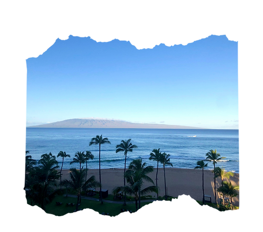 Untitled design (52).png