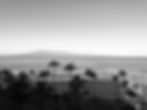 IMG_2925 (1).jpeg