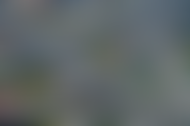 פשוט להחליט?