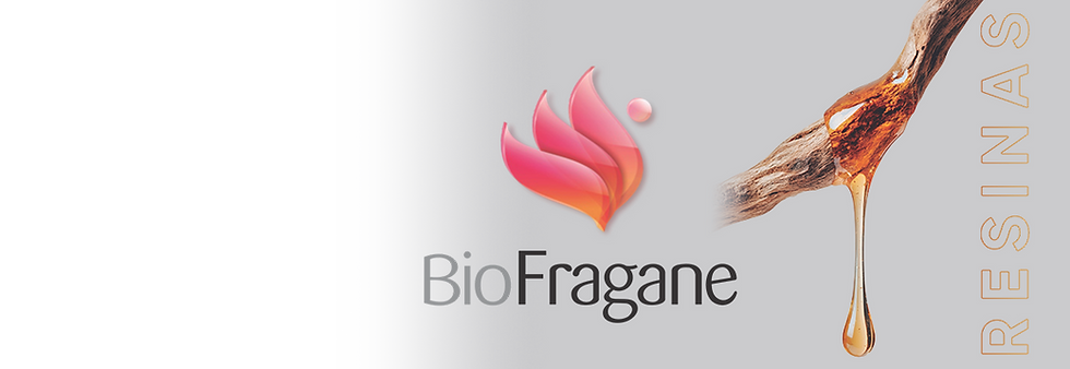Logotipo BioFragane com gota de resina em galho de árvore.