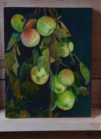 Apples, oil on wood, 8 x 10 inches