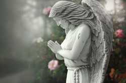 Angels~Cherubs