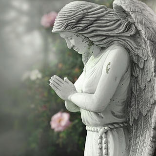Writer: Make Over Angels 