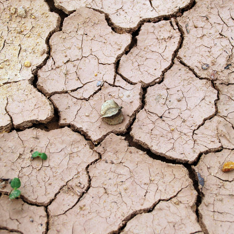 How Does Climate Change in Ghana & Kenya Affect Rural Water Use and Payment Behavior? 