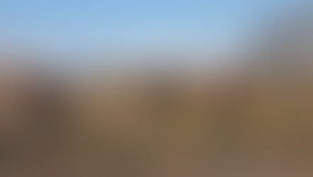 [체육대회]창립기념 체육대회 행사 2025.11.07