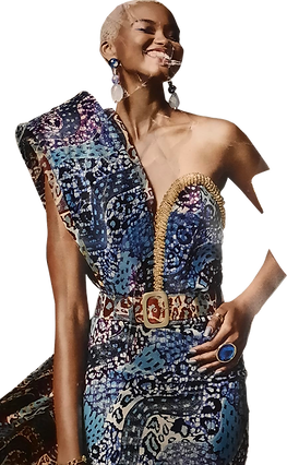 vlisco02_02.png
