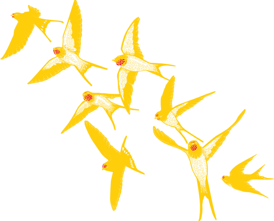 ilustra_andorinhas.png