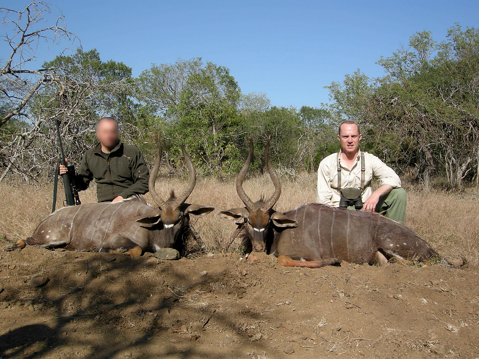 South African Plains Game Hunting