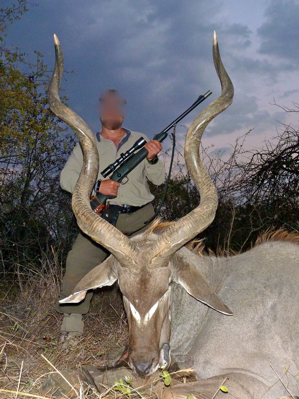 South African Plains Game Hunting
