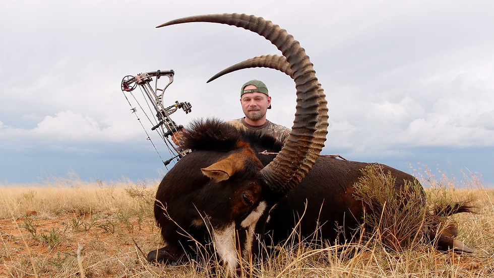 South African Plains Game Hunting