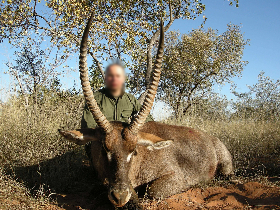 South African Plains Game Hunting