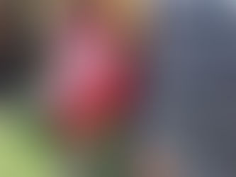 RADUNO INTERNAZIONALE MGCM PIANI DEI RESINELLI