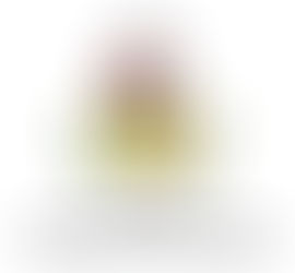 Raduno internazionale MGCM 20-21-22 Giugno Piani dei Resinelli Patrocinio del Comune di Ballabio