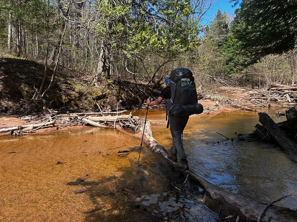 Crossing the Ford Silver River on a natural bridge.