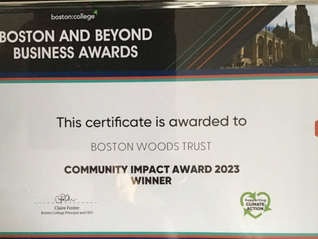 Community Impact Award