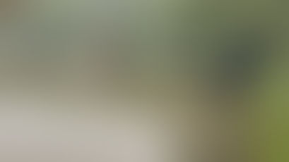 Planting up the Jenny's Wood ponds