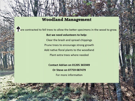 Call for extra volunteers