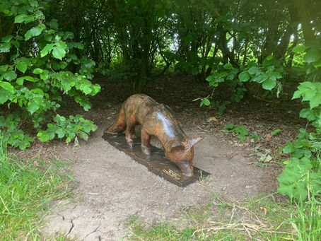 Welcome home Mr Fox