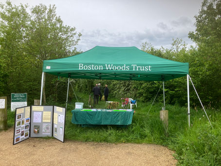 Plant bulbs and be part of The Big Help Out