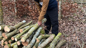 The Trust welcomed Amal Biju as a volunteer during his studies.