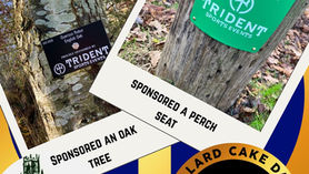 Message from Trident race team