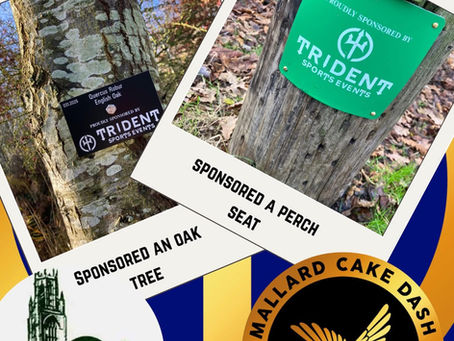 Message from Trident race team