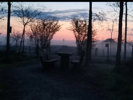 Dawn Chorus at Westgate Wood