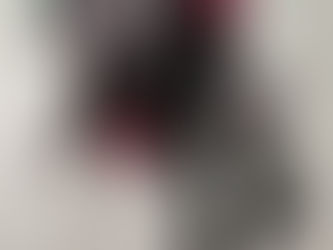 DIY Thanksgiving Day Parade