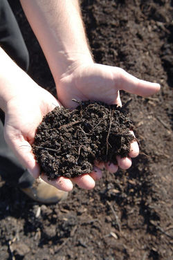 Compost grossier NF U 44-051