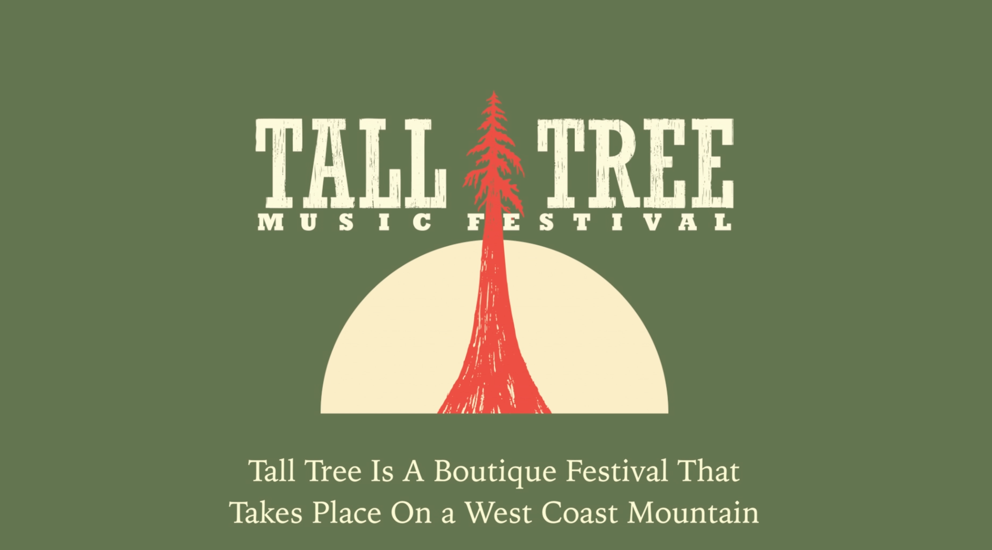 Tall Tree 2014