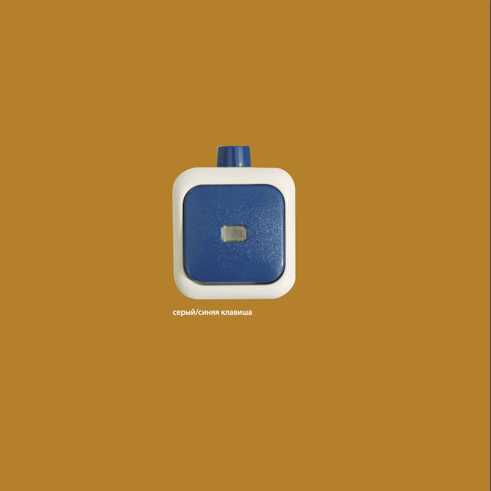 Busch-Duro 2000 IP66