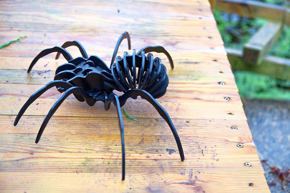 Thumbnail: Spider