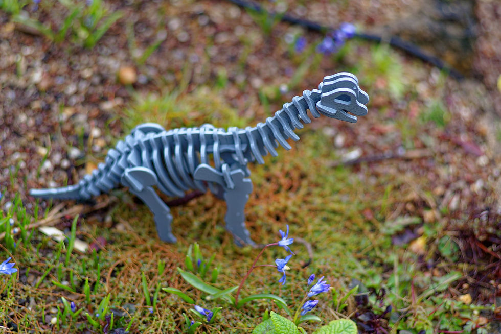 Thumbnail: Brontosaurus