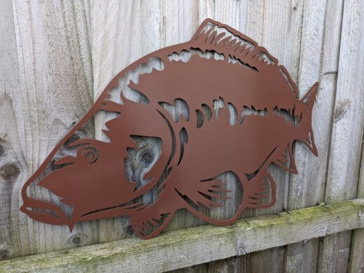 Thumbnail: Carp 2 - Small, Medium or Large