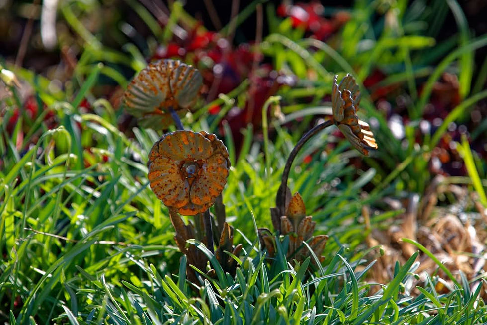 Thumbnail: Poppy sculpture