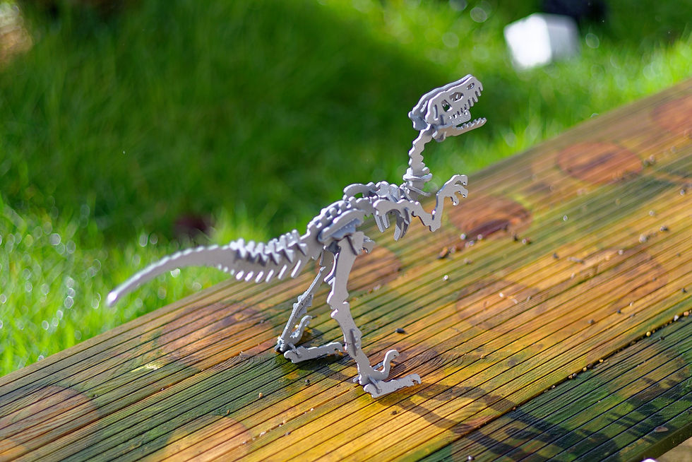 Thumbnail: Velociraptor small