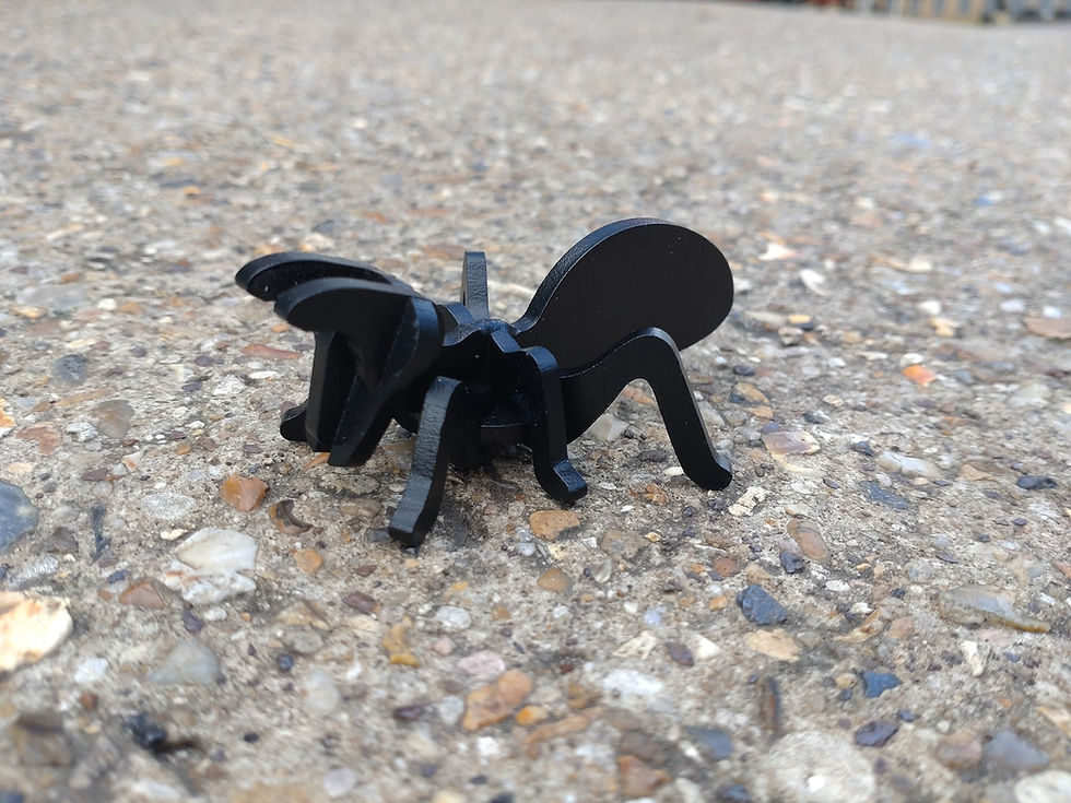 Thumbnail: Ant