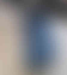 zara womens broderie