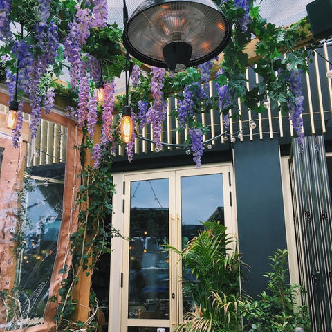kingly court purple flowers and door