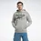 Thumbnail: REEBOK IDENTITY FRENCH TERRY VECTOR PULLOVER HOODIE (MENS)