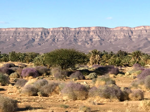 Jebel Bani sud Maroc.jpg
