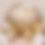 Thumbnail: Balloon Garland w/ Shimmer Backdrop  Set-Up
