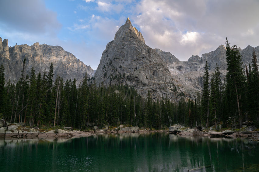 Lone Eagle in the Evening Light