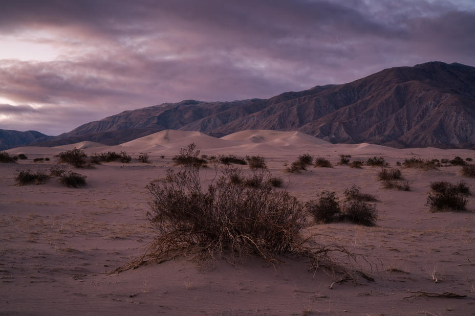 Dusk in the Panamint Dunes 2