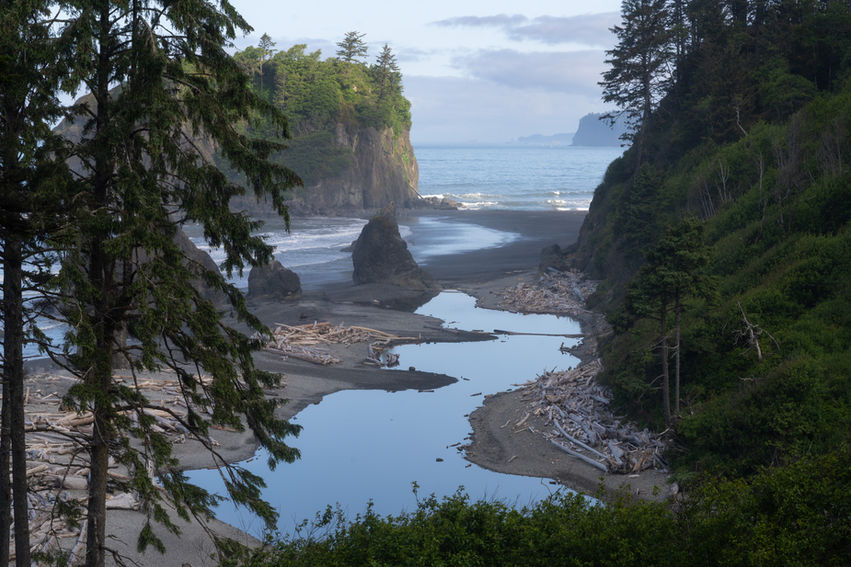 Afternoon at Ruby Beach