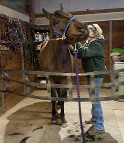 25398397_1680170845372385_7325346533274141178_o