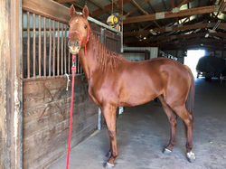 12240058_913074455435469_1269714384135259053_n